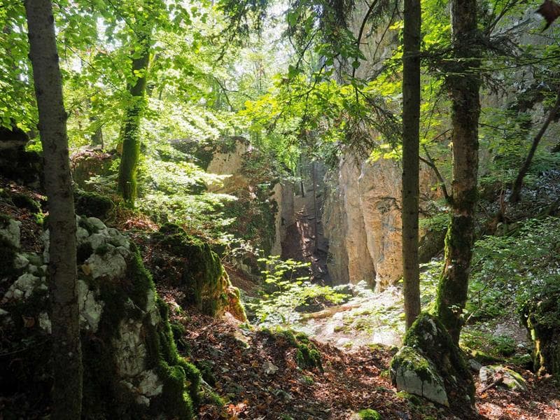Grotte des Nains de FERRETTE