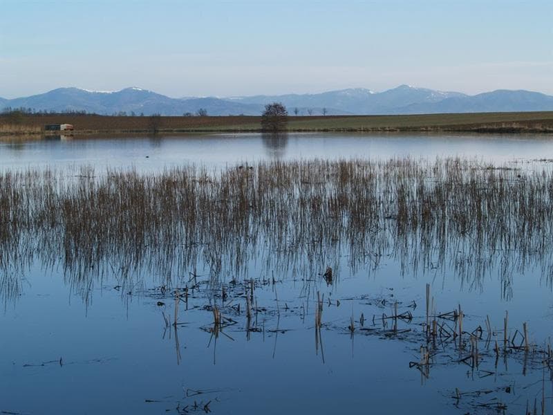 Les Etangs Nérac