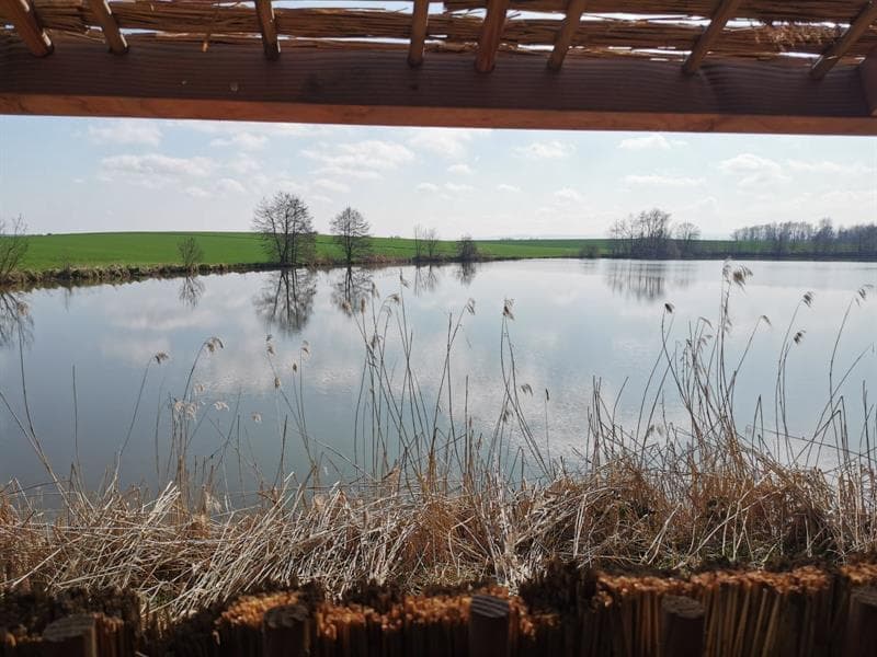Les Etangs Nérac