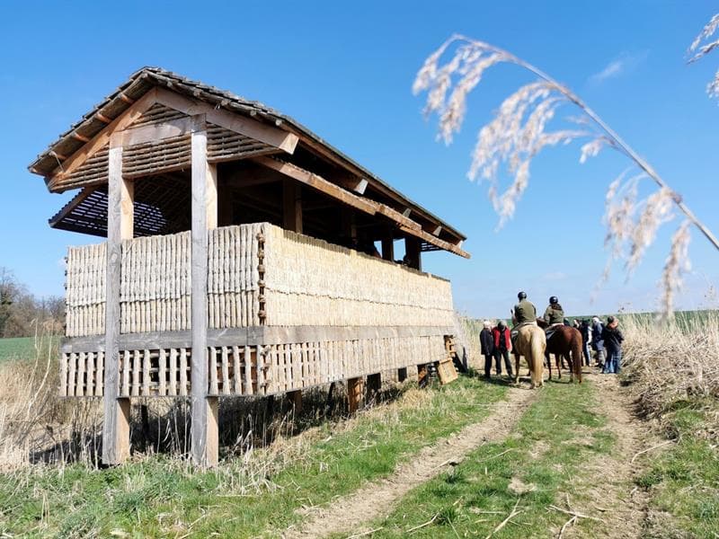 Les Etangs Nérac