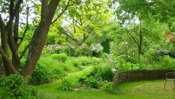 Le jardin de Brigitte