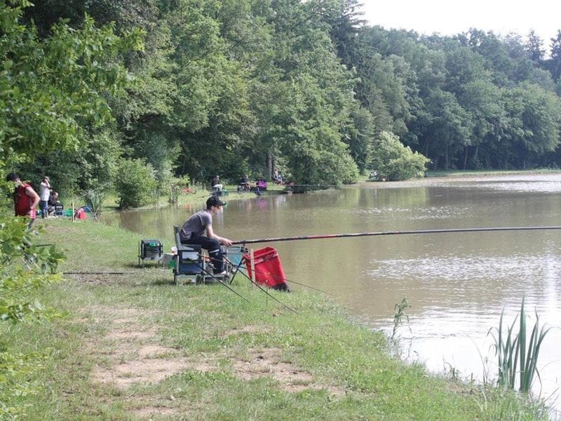 Etang de la Lutter