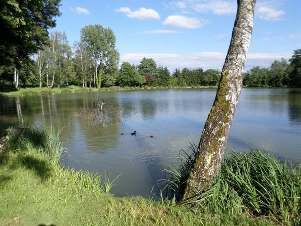 Étangs de pêche de Diefmatten