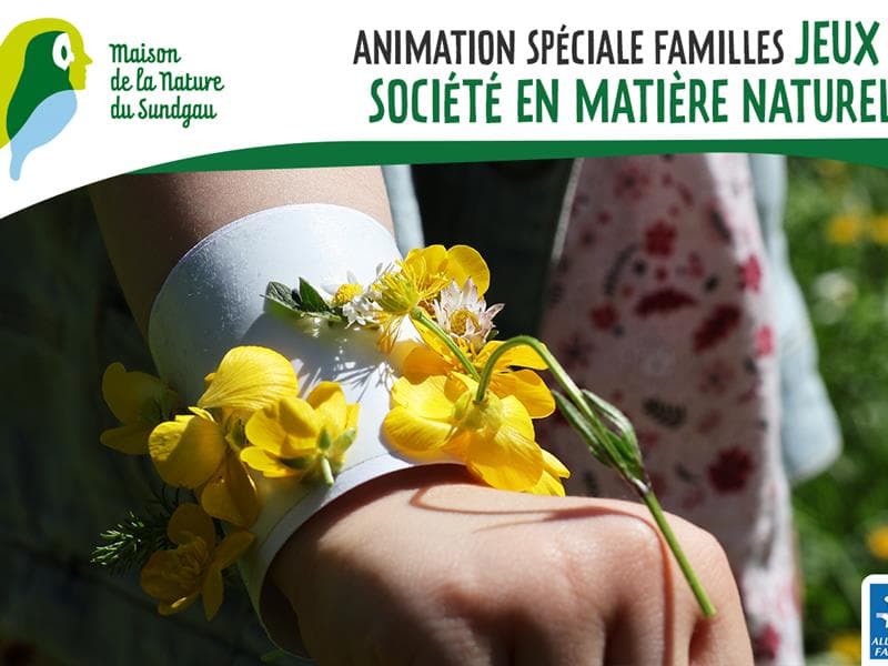 Jeux de société en matière naturelle