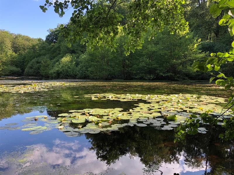 Plateau de loisirs, mini-parcours de santé et de fitness connecté