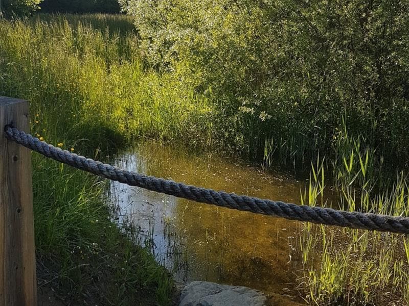 Zone de loisirs et nature : le parc de la Presqu'Ill