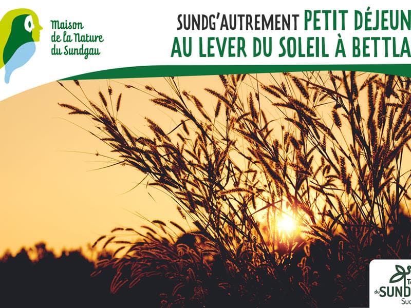 Petit-déjeuner au lever du soleil