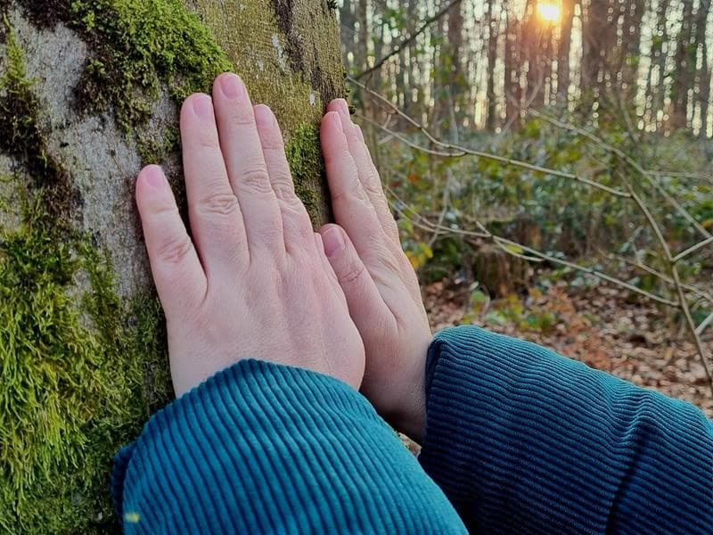 Coralie Companys - Sophrologue, guide bain de forêt et praticienne massage