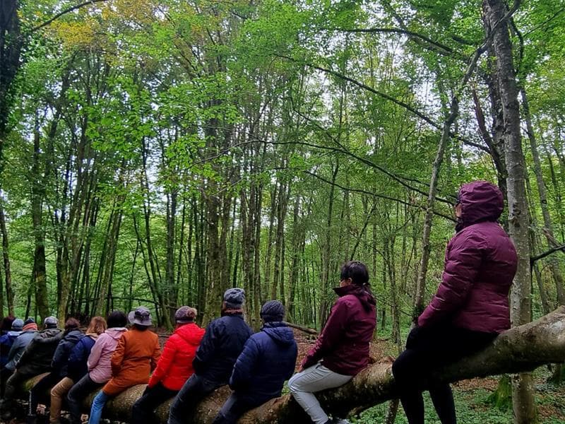 Coralie Companys - Sophrologue, guide bain de forêt et praticienne massage