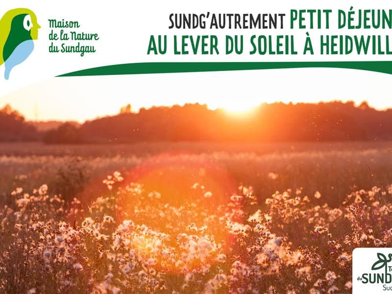 Petit déjeuner au lever du soleil
