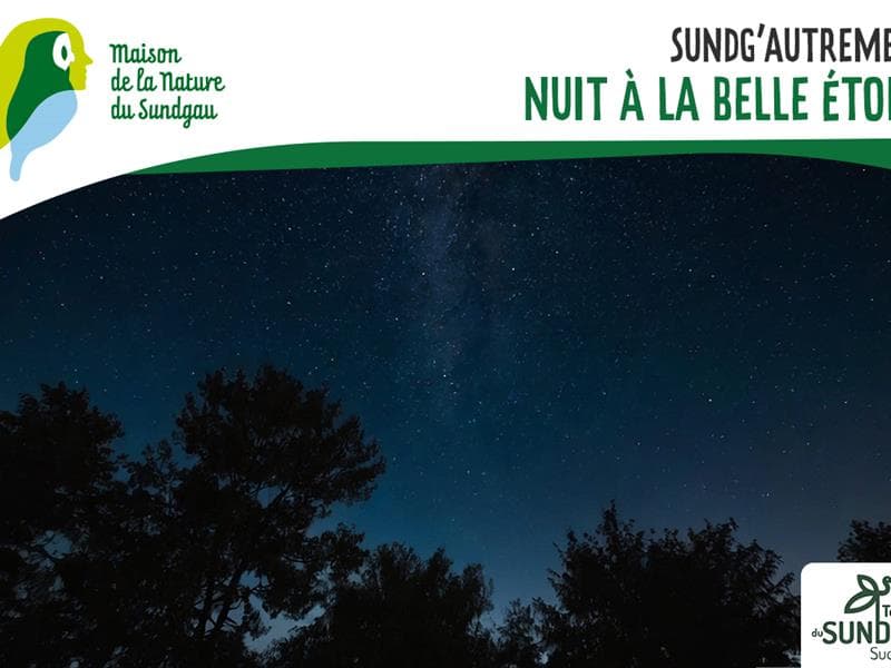 Nuit à la belle étoile
