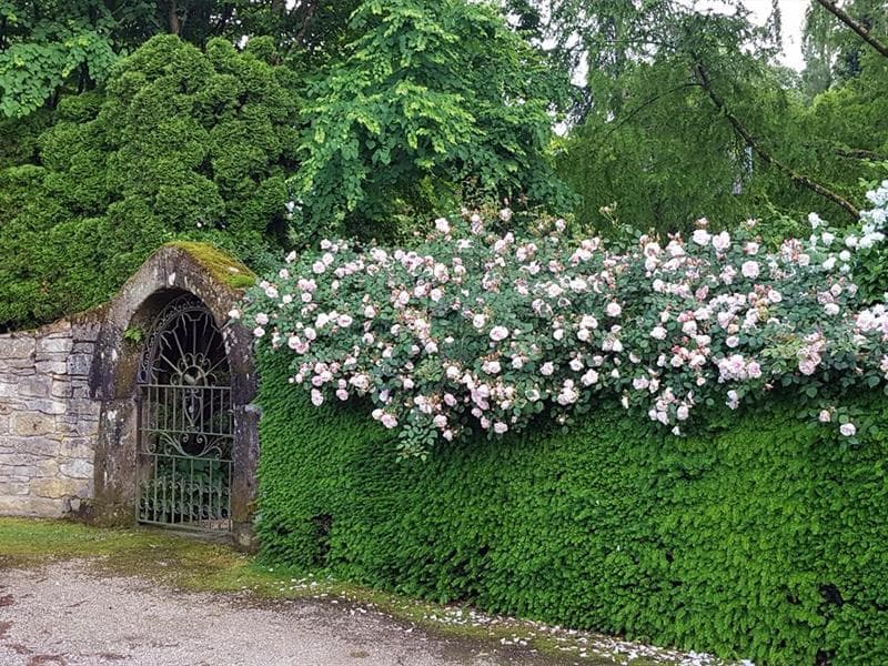Jardin des Songes