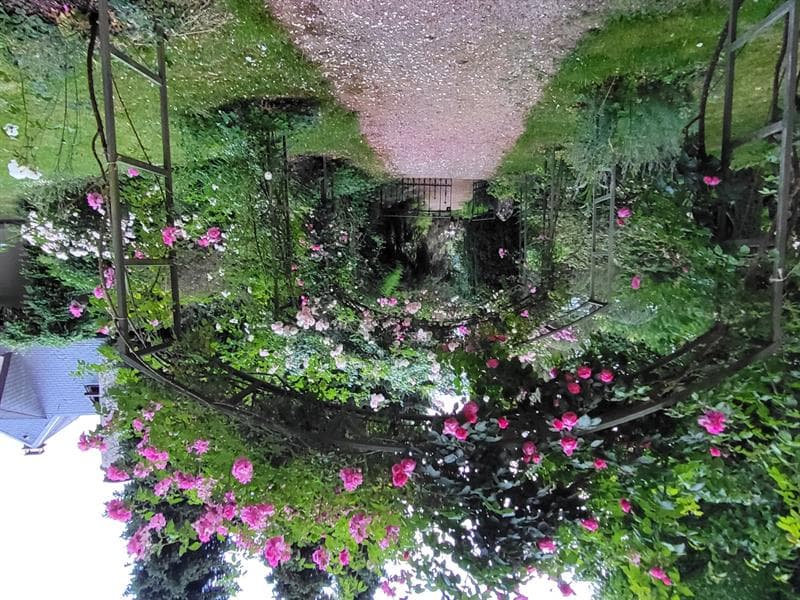 Jardin des Songes