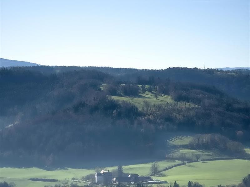 Visite du Rucher et de la Miellerie à Kiffis