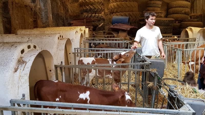 Visite de la ferme du Roetling