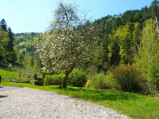 Ferme en pleine nature - Mr FISCHER