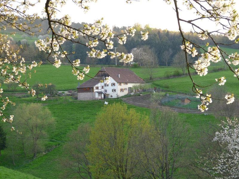 Gîte de M. Rieffel