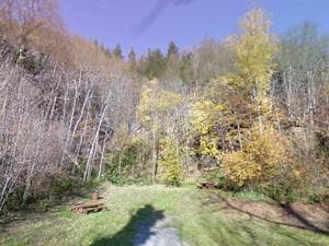 Aire de pique nique Col de Sainte-Marie-aux-Mines