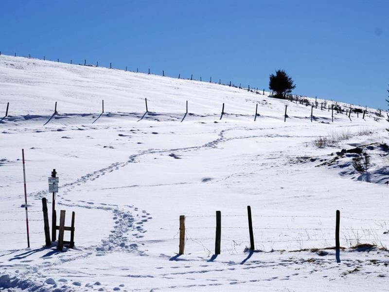 Luge aux Bagenelles
