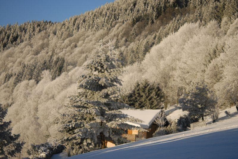 Luge aux Bagenelles