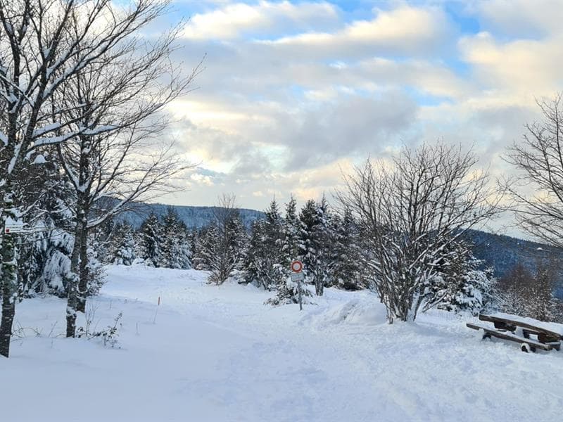 Domaine nordique du col des Bagenelles