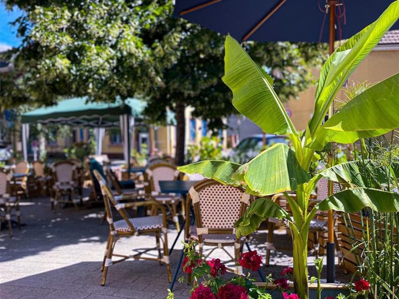 Bar à vin : L'Enivrée