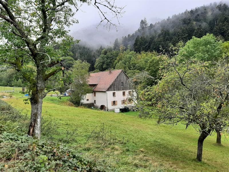 Gîte chaleureux à la montagne