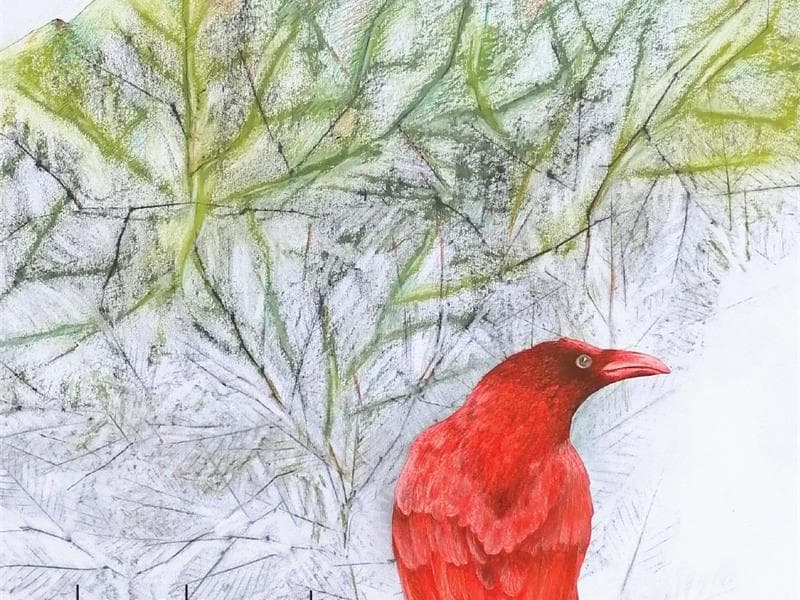 Exposition "Le Chant du ciel" à la Galerie Nicole Buck