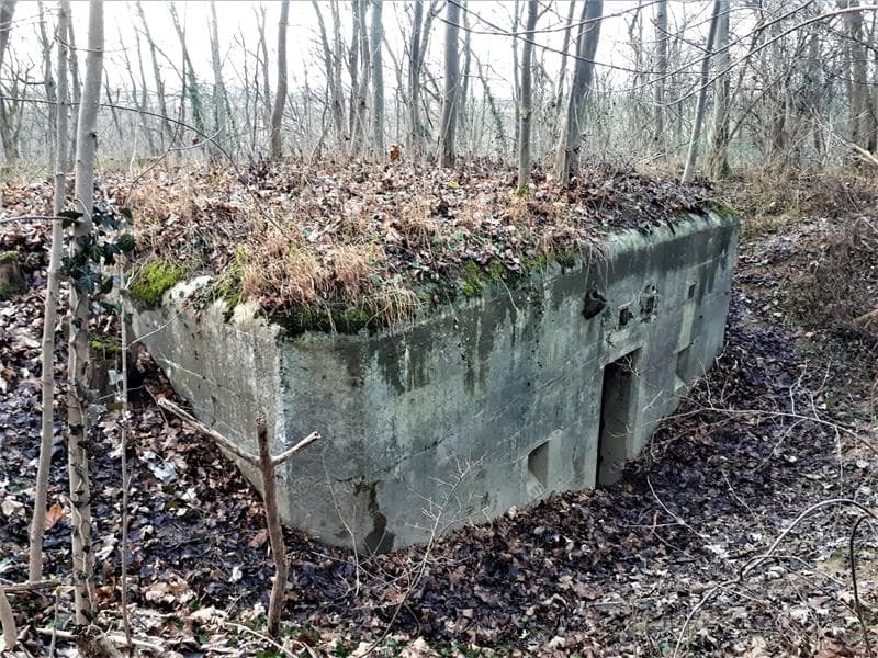 Point d'appui d'infanterie du Nellkopf I 52