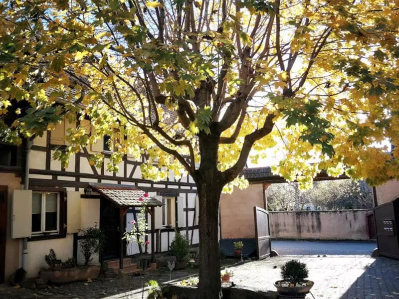 Meublé de tourisme Chez Mamema