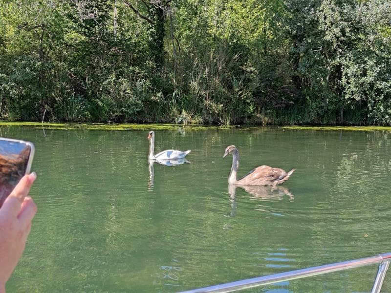 Promenades en barques sur le Giessen