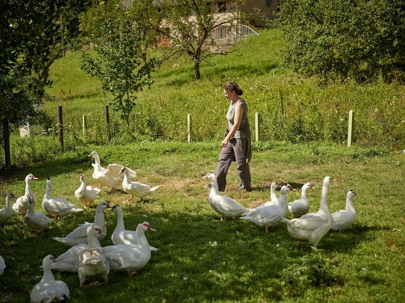 Ferme-auberge du Charapont