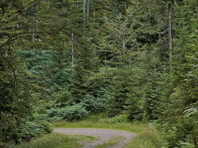 Sentiers Plaisir : Le sentier des Passeurs
