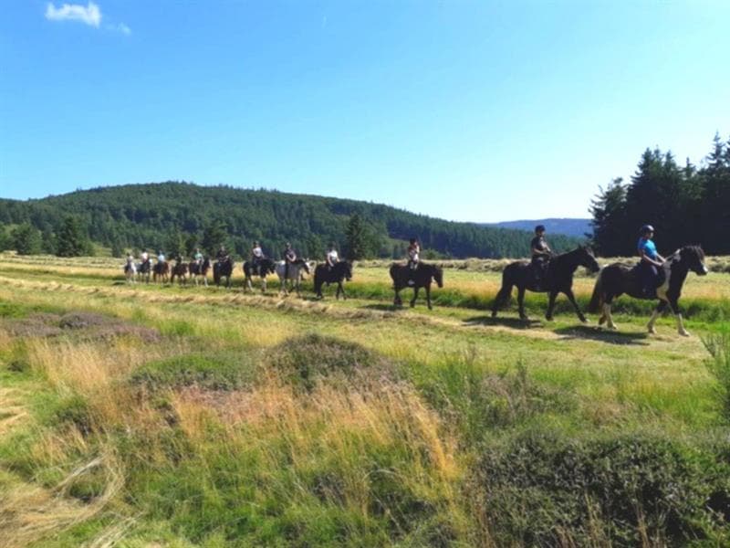 Le centre de loisirs équestres : Cheval Alsace