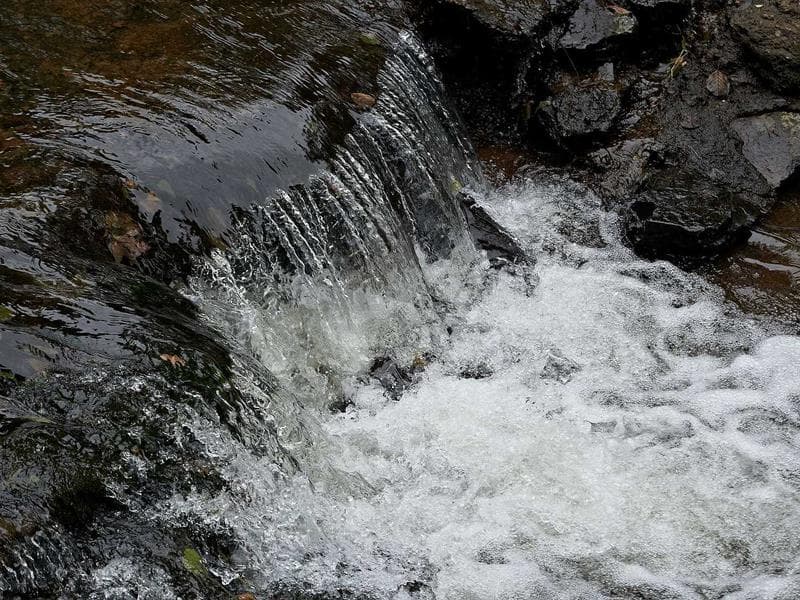 La Bruche : au fil de l'eau
