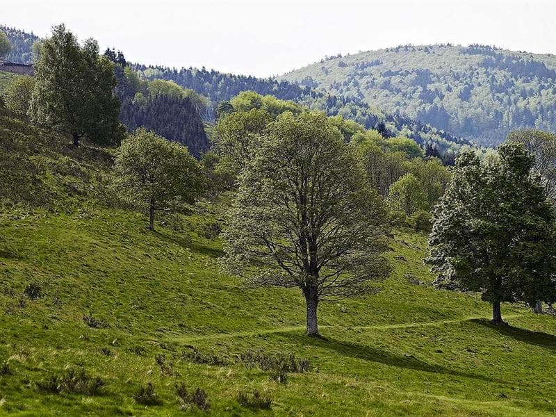 La Perheux