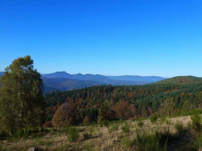 La Perheux