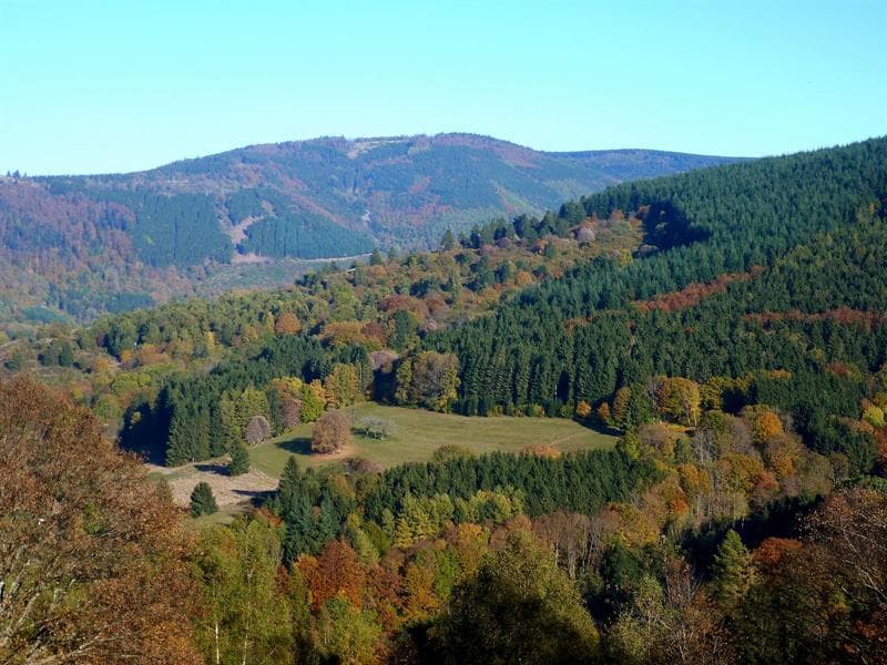 La Perheux