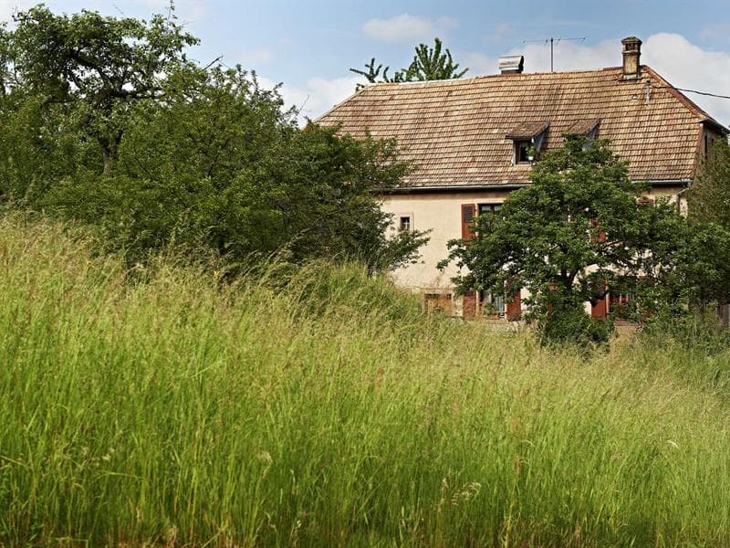 Chalet du loup