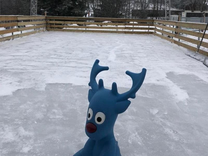 Patinoire de plein air
