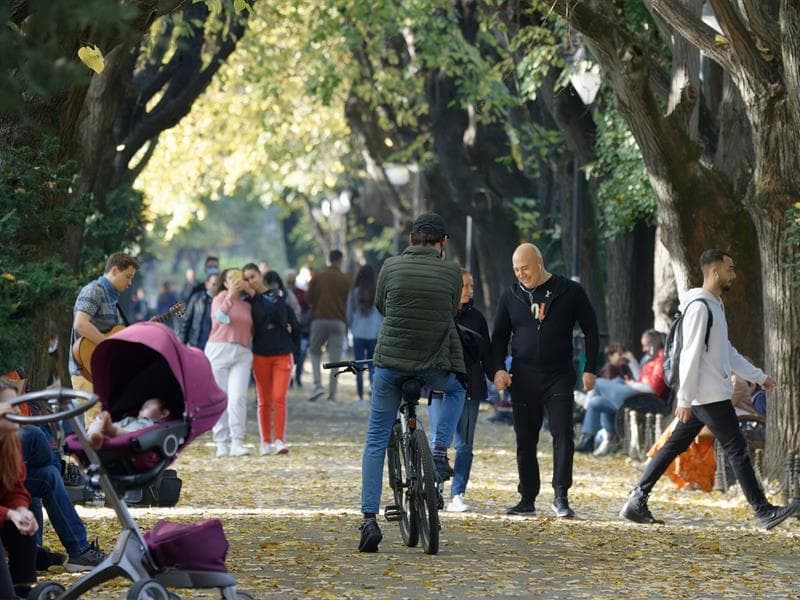 Cirk'en Rue