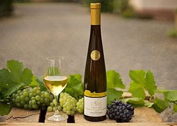 Domaine ROSFELDER