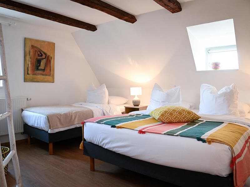 Gîte Léon - Le Hameau d'Eguisheim - Domaine GINGLINGER