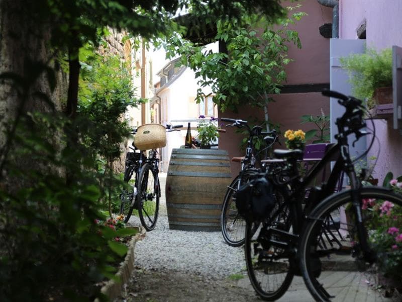 Alsa Cyclo Tours - L'Alsace, grandeur nature