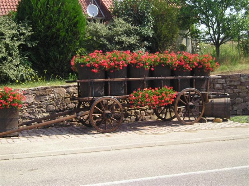 Pfaffenheim
