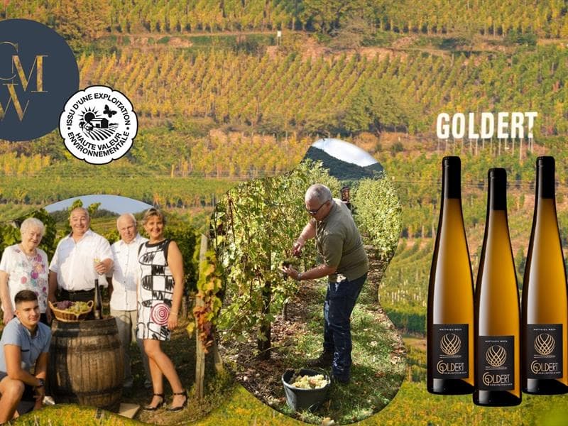 Vins WECK Clément et Fils