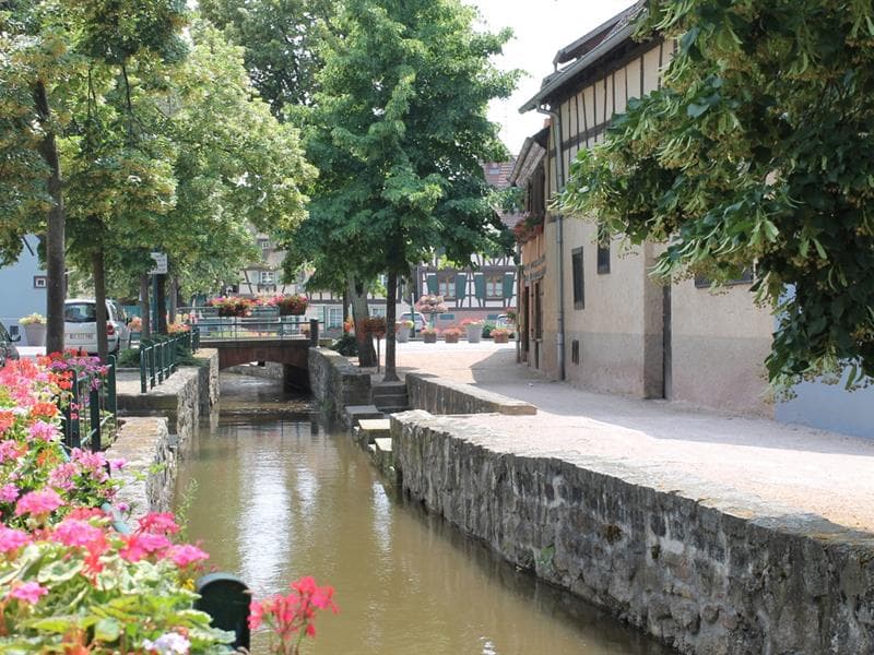 Visite insolite du village