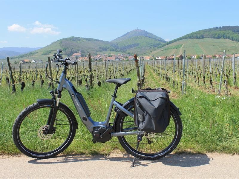 Location de vélos à assistance électrique