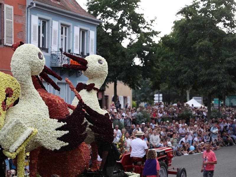 Corso Fleuri
