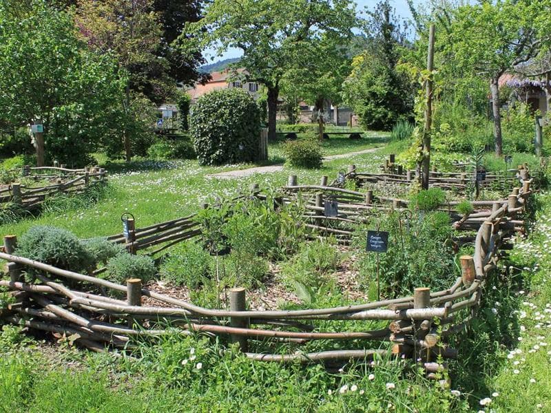Jardin médiéval